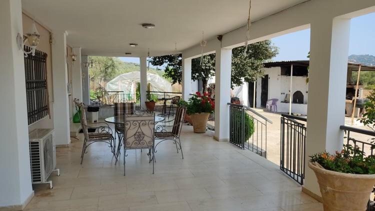 Mallios Country House Near Ancient Olympia Екстер'єр фото
