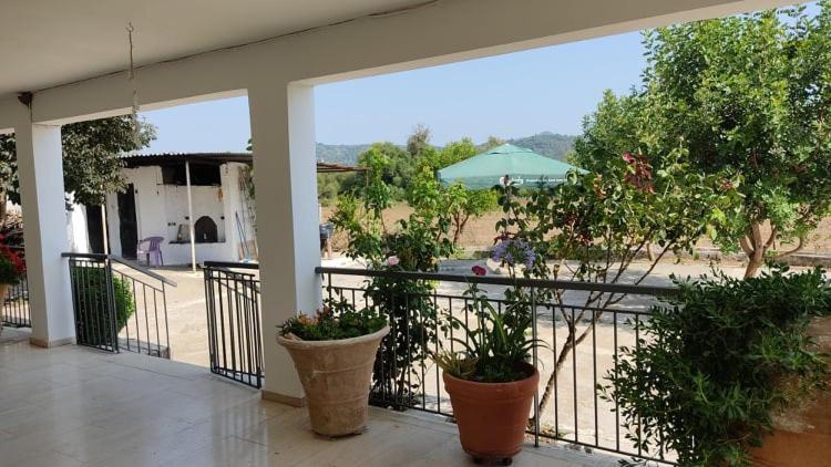 Mallios Country House Near Ancient Olympia Екстер'єр фото