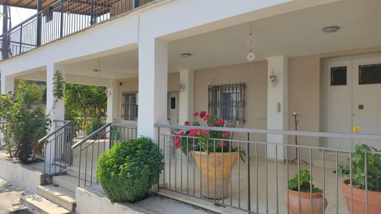 Mallios Country House Near Ancient Olympia Екстер'єр фото