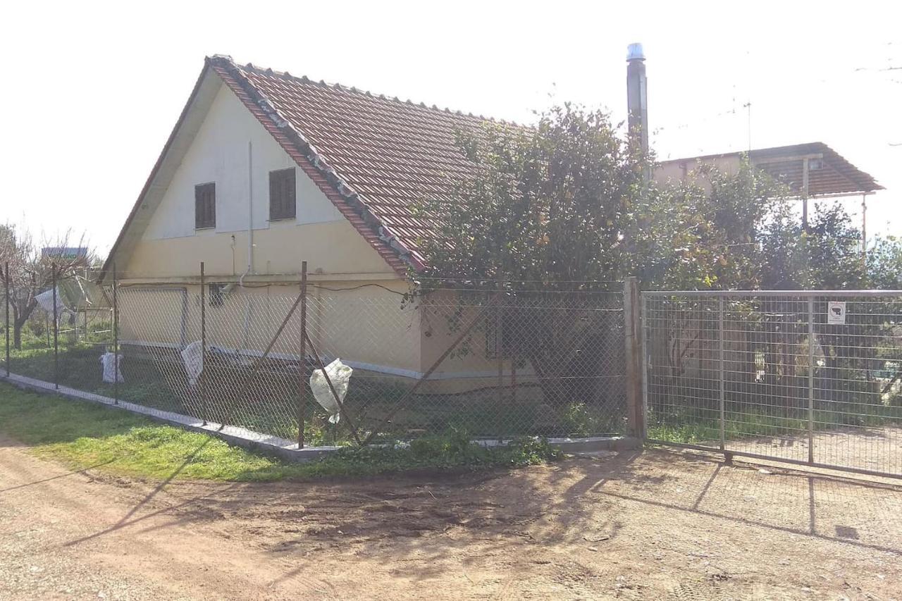 Mallios Country House Near Ancient Olympia Екстер'єр фото